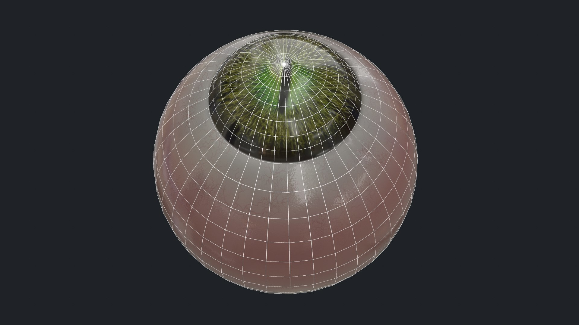 3D eyes creatures model https://p.turbosquid.com/ts-thumb/34/MhLJUo/qgJUTK2L/topologia3/png/1594661174/1920x1080/fit_q87/41ed95be281aac59f1a7e9876ff01aa556c9e38b/topologia3.jpg