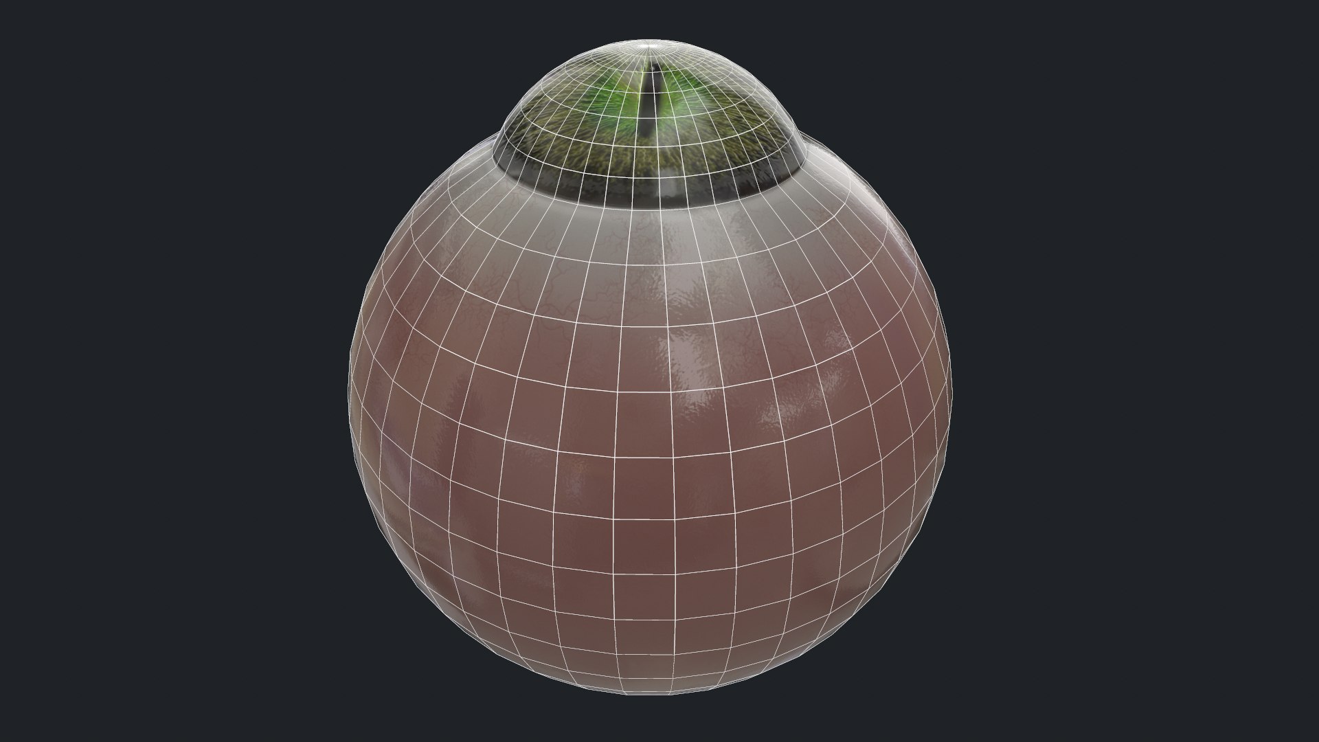 3D eyes creatures model https://p.turbosquid.com/ts-thumb/34/MhLJUo/uqfd0GJo/topo/png/1594660998/1920x1080/fit_q87/35de7319eaf4cf4dc3def43e9c086a033a11f3d4/topo.jpg