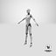 Plate-forme de robot cyborg femelle