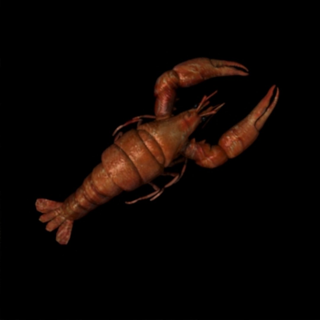 lobster obj https://p.turbosquid.com/ts-thumb/34/TaAfng/CAkRnrZv/lobster/jpg/1162399933/1920x1080/fit_q87/4f3a67544c6ba8e96c4d411aae1f3c321c2499cf/lobster.jpg
