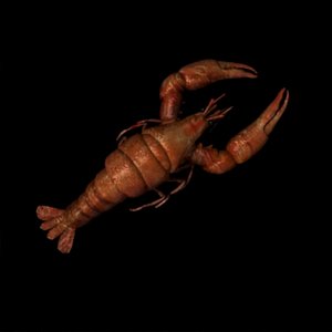 lobster obj