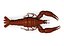 lobster obj