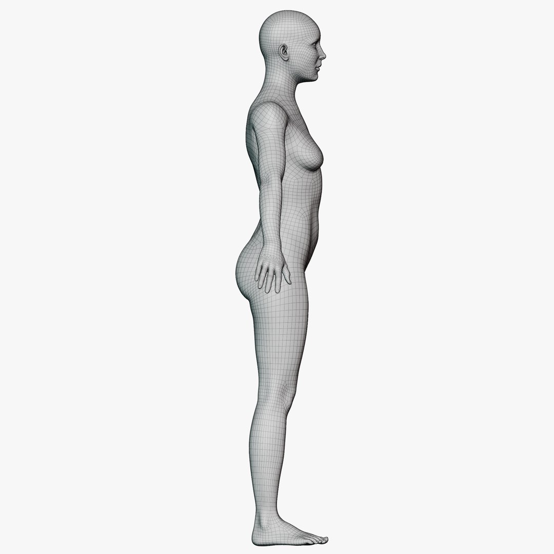 3D Female mannequin pose 1 PBR model https://p.turbosquid.com/ts-thumb/34/XKhbal/Sm/wireallfem0128/png/1771854189/1920x1080/fit_q87/ed0621b28f703739dbb445d4b9ddd97f3bbd2981/wireallfem0128.jpg