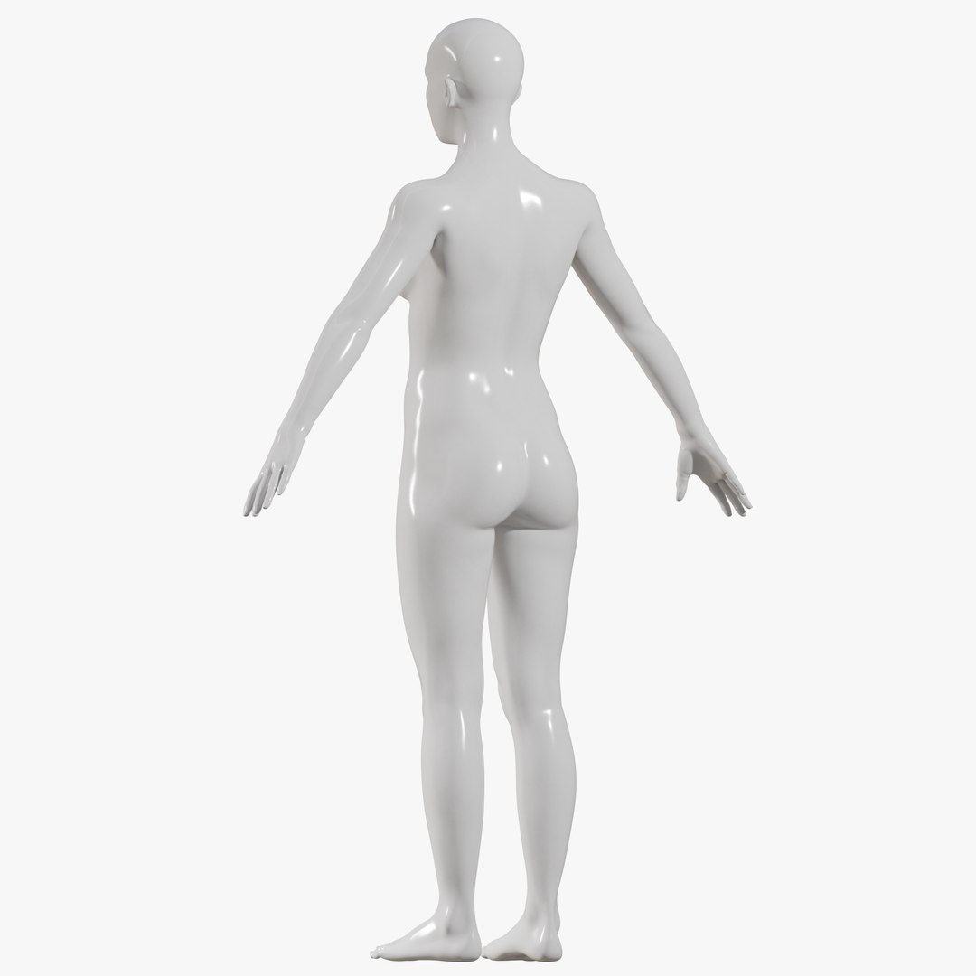 3D Female mannequin pose 1 PBR model https://p.turbosquid.com/ts-thumb/34/XKhbal/W3/allfem014/png/1771854123/1920x1080/fit_q87/02219525af3b4f39d6f79d3d0f4e19c6f177d129/allfem014.jpg