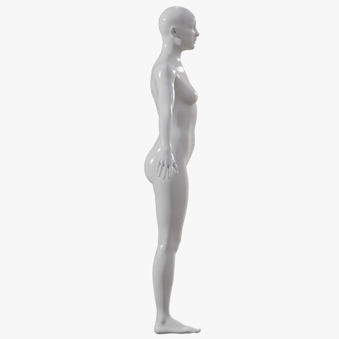 3D Female mannequin pose 1 PBR model https://p.turbosquid.com/ts-thumb/34/XKhbal/ul/allfem017/png/1771854123/1920x1080/fit_q87/b8a6613dc79fec0172c9b97bdfae6bf3c1bceb17/allfem017.jpg
