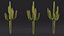 Giant Saguaro Cactus