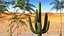 Giant Saguaro Cactus
