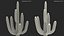 Giant Saguaro Cactus
