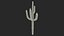 Giant Saguaro Cactus