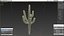Giant Saguaro Cactus