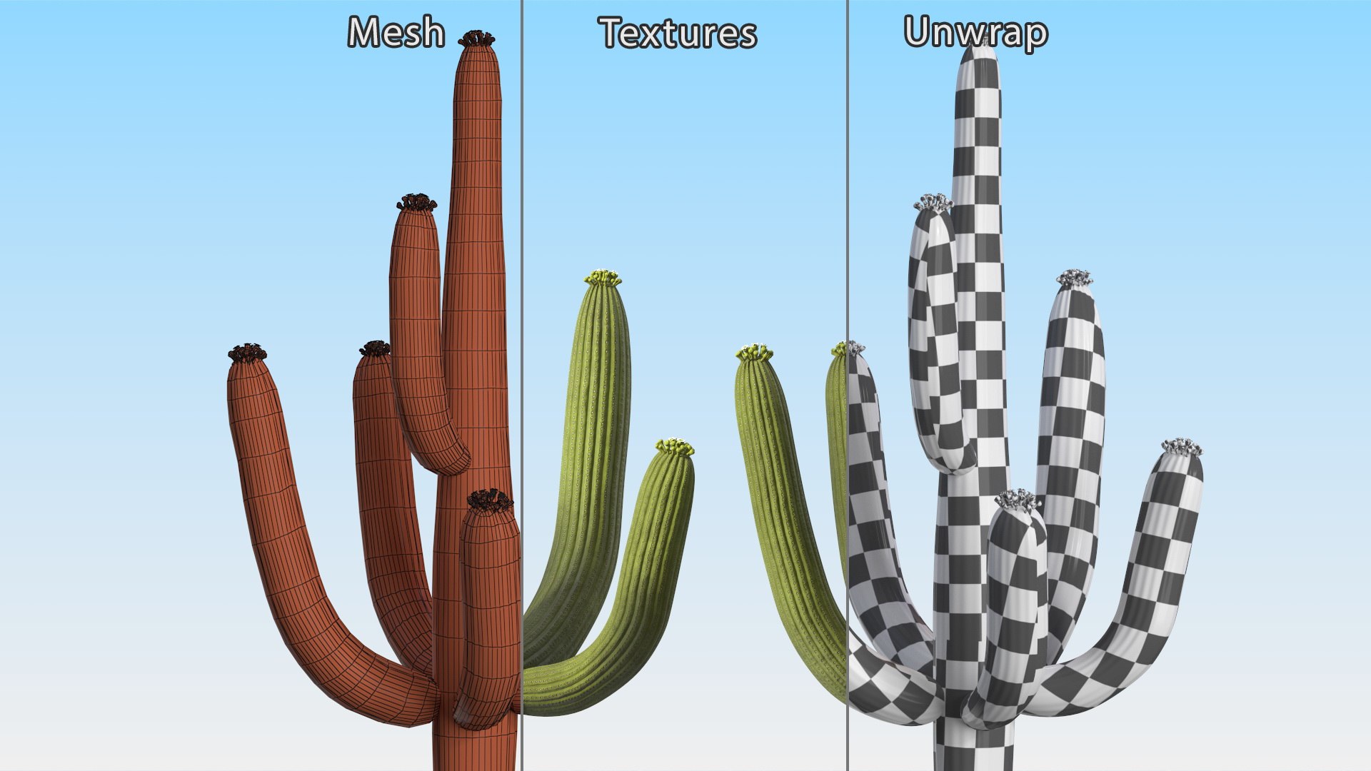 Giant Saguaro Cactus 3D model https://p.turbosquid.com/ts-thumb/34/XNiSKt/w5/giantsaguarocactusmb3dmodel021/jpg/1703094029/1920x1080/fit_q87/4c0515d48dc2617d62d6b7dbc4ddf363800e5ea9/giantsaguarocactusmb3dmodel021.jpg