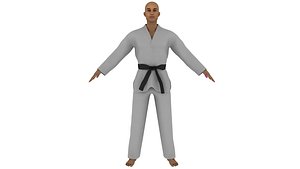 3D karate fighter