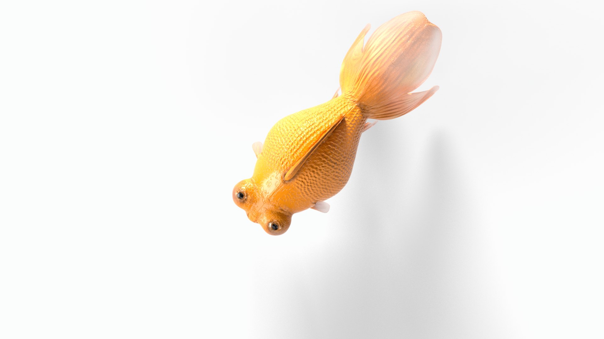 Orange gold fish 3D model https://p.turbosquid.com/ts-thumb/34/Yuf8xs/8S/goldfish0002/png/1747757472/1920x1080/fit_q87/763dc8d9f61dfe8d38ca0716651cea83e6a7fca2/goldfish0002.jpg