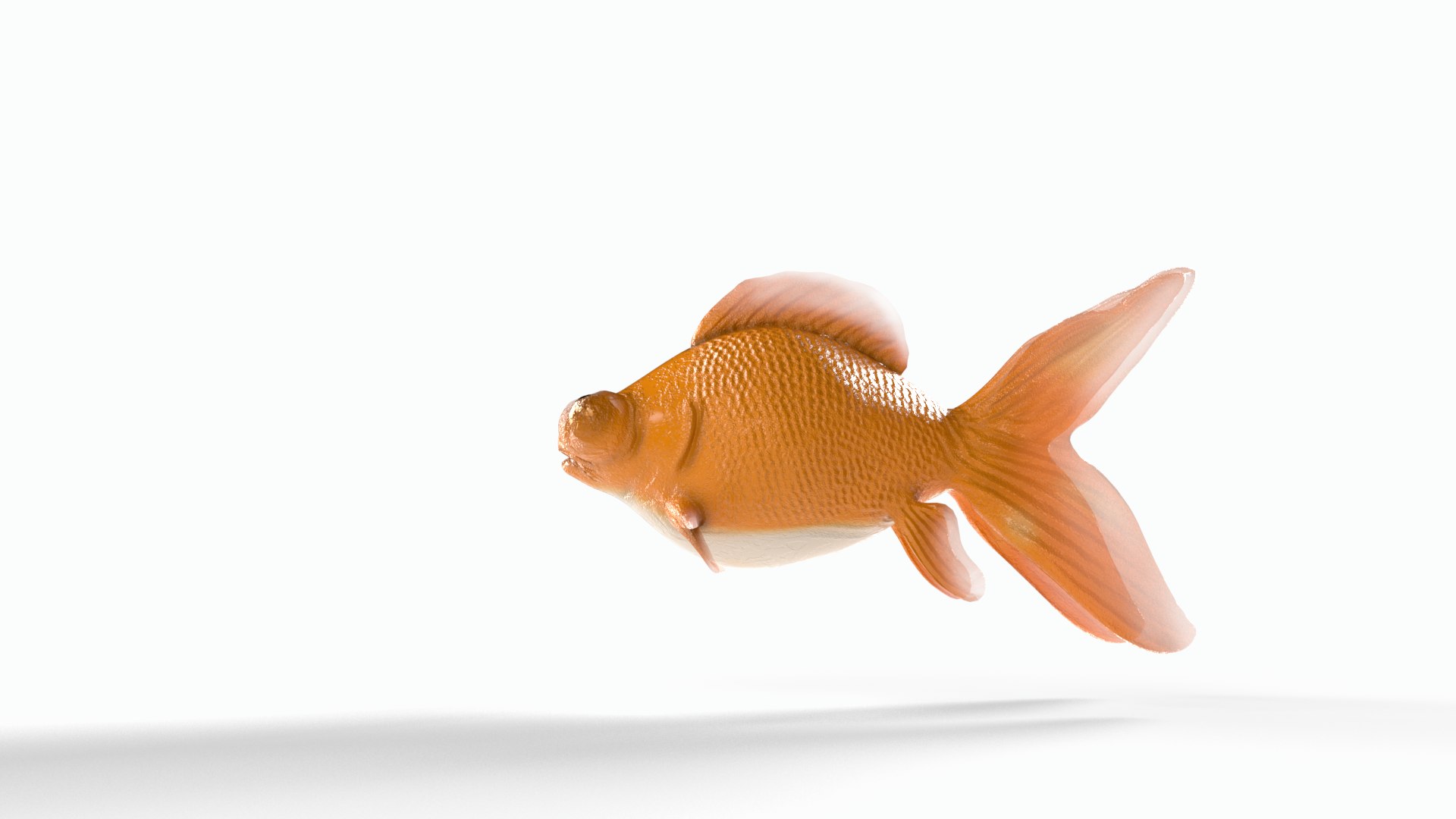 Orange gold fish 3D model https://p.turbosquid.com/ts-thumb/34/Yuf8xs/Ac/goldfish0001/png/1747757471/1920x1080/fit_q87/8a484b378914e0411de5c15a7cfa1addf72946fa/goldfish0001.jpg