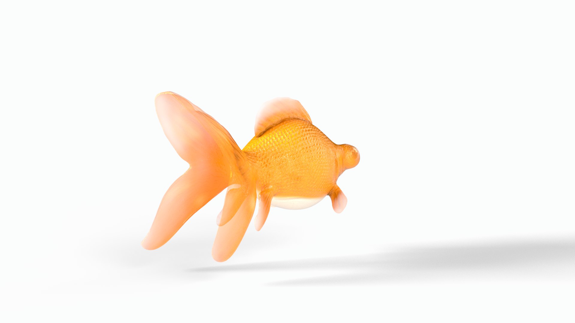 Orange gold fish 3D model https://p.turbosquid.com/ts-thumb/34/Yuf8xs/Zc/goldfish0004/png/1747757473/1920x1080/fit_q87/dc23a42d86086bfb5fec50e82d6d26e3e90c28c5/goldfish0004.jpg