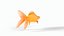 Poisson rouge orange