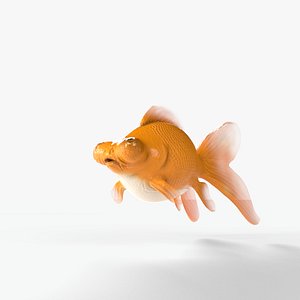 Orange gold fish 3D model
