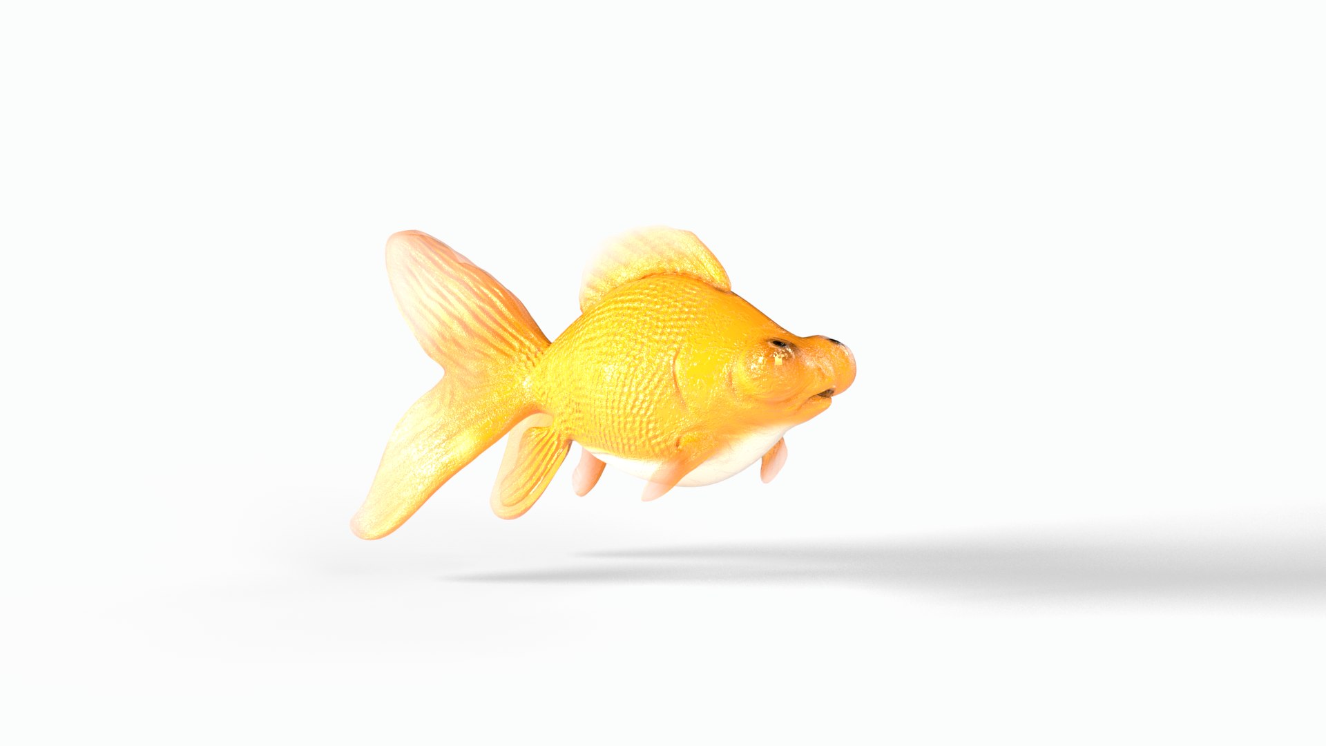 Orange gold fish 3D model https://p.turbosquid.com/ts-thumb/34/Yuf8xs/l6/goldfish0003/png/1747757473/1920x1080/fit_q87/1c5c900a2a8e5f7b2e2b640b35a8354d2d301fd5/goldfish0003.jpg
