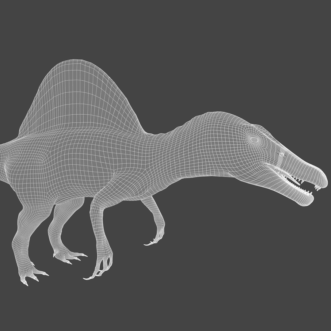3d Spinosaurus Rigged Model