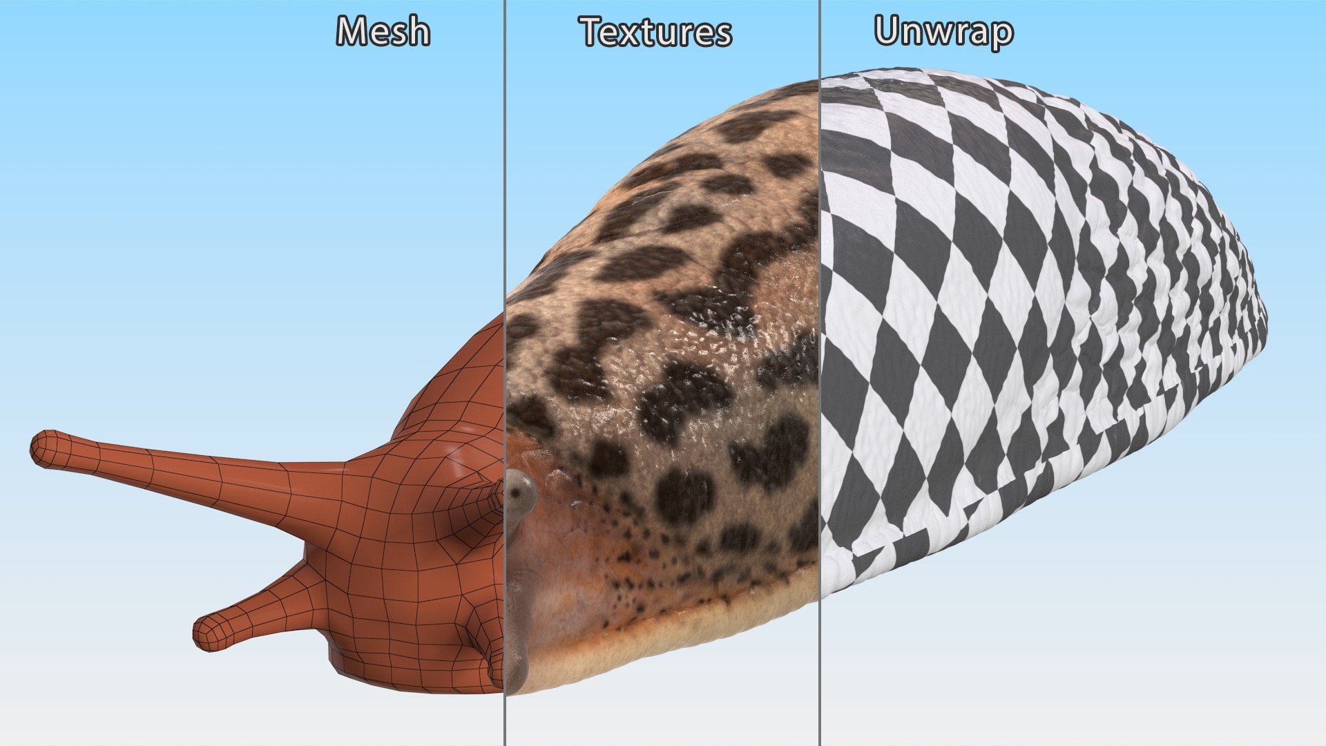 3D Great Slug Rigged for Modo https://p.turbosquid.com/ts-thumb/34/cPAyUp/92/greatslugriggedformodo3dmodel029/jpg/1674591731/1920x1080/fit_q87/a923a3727a048153c32ab43ef523406e4978b93b/greatslugriggedformodo3dmodel029.jpg