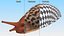 Great Slug Rigged for Modo