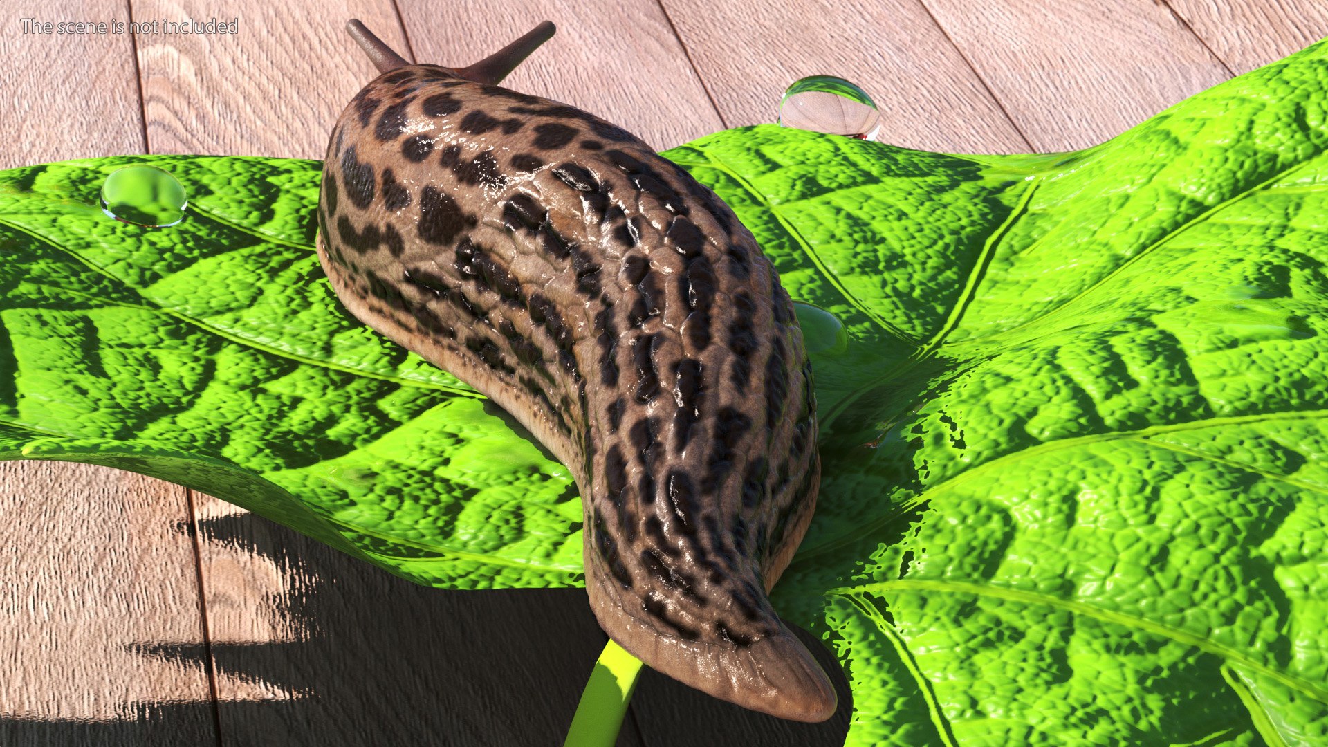 3D Great Slug Rigged for Modo https://p.turbosquid.com/ts-thumb/34/cPAyUp/JD/greatslugriggedformodo3dmodel008/jpg/1674591670/1920x1080/fit_q87/67ad96d931efc4742b1e6cf97ad9fa2bd60575ab/greatslugriggedformodo3dmodel008.jpg