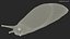 Great Slug Rigged for Modo