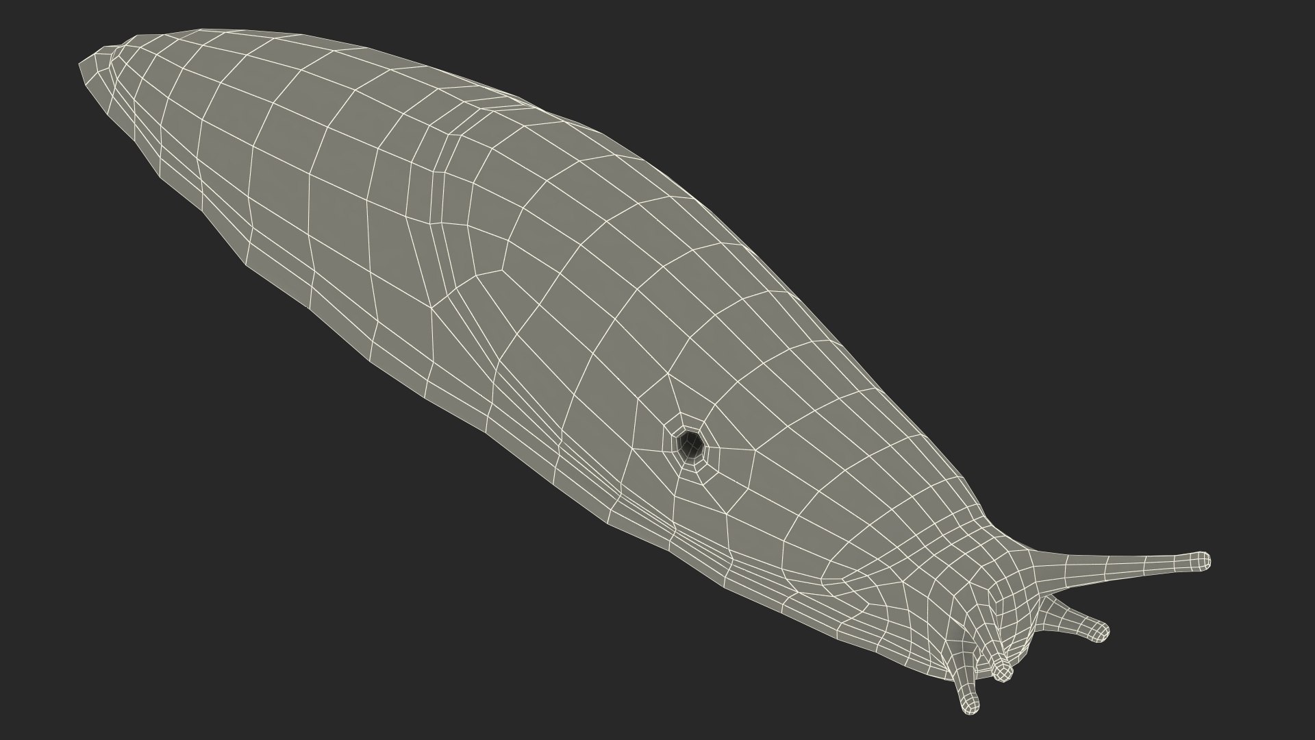 3D Great Slug Rigged for Modo https://p.turbosquid.com/ts-thumb/34/cPAyUp/ZB/greatslugriggedformodo3dmodel035/jpg/1674591749/1920x1080/fit_q87/9364331ca44e72abfd63b8215d12ca1d0df40910/greatslugriggedformodo3dmodel035.jpg