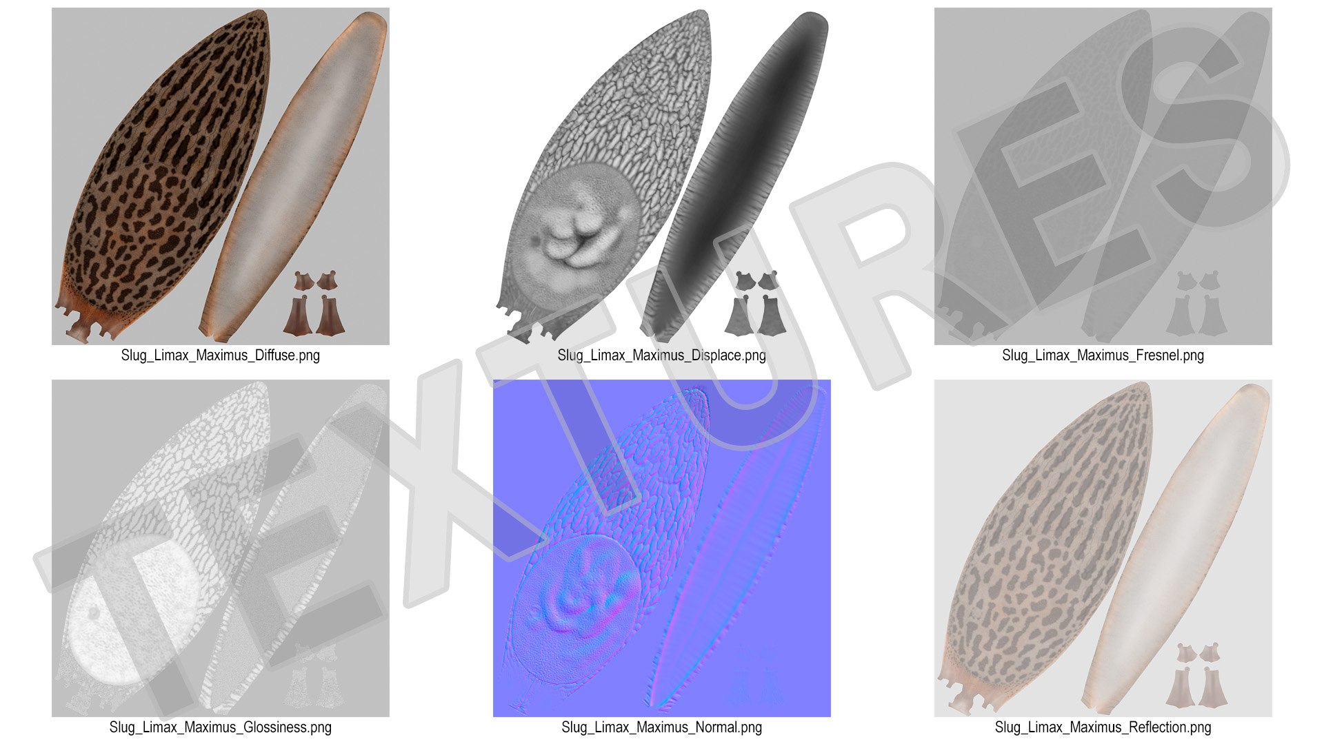 3D Great Slug Rigged for Modo https://p.turbosquid.com/ts-thumb/34/cPAyUp/Ze/greatslugriggedformodo3dmodel033/jpg/1674591743/1920x1080/fit_q87/5ae919de4af8931c1f94554ad5b892e87506ddee/greatslugriggedformodo3dmodel033.jpg