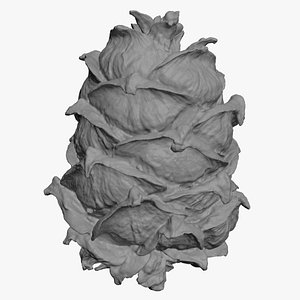 Pine Nut Taiga 03 3D Print model