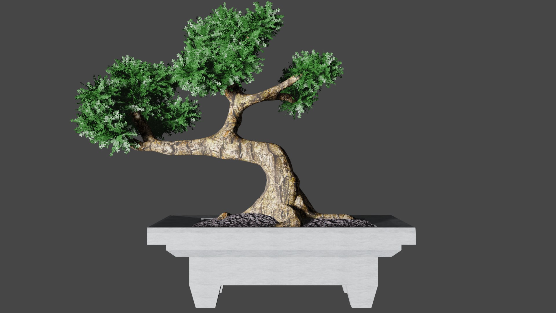 3D Bonsai Tree - TurboSquid 1805656