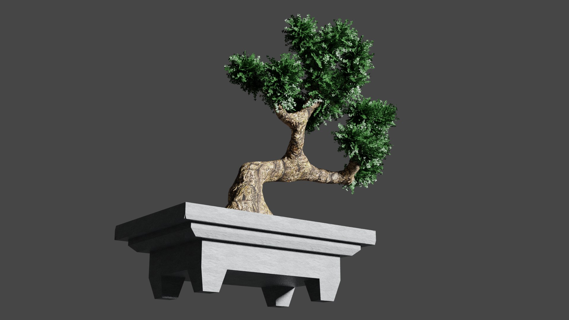 3D Bonsai Tree - TurboSquid 1805656