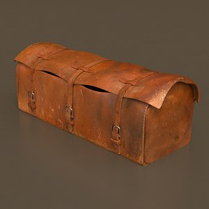 Western Bag
