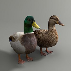 duck life 3d model (vip) - Download Free 3D model by jujikfurry