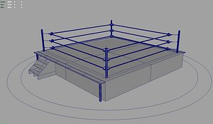 Boxing \ Wrestling Ring +Rig