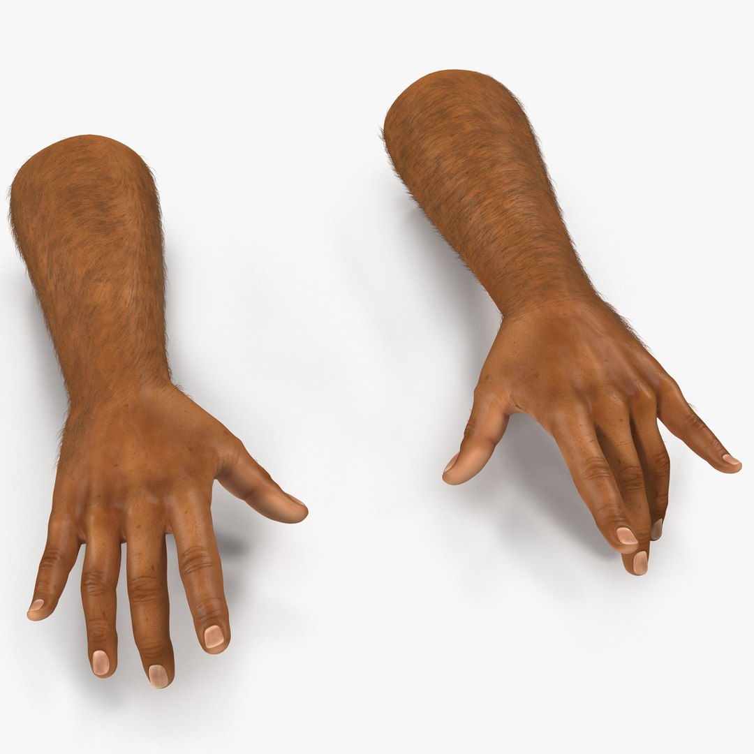 African Man Hands 2 with Fur Pose 3 3D Model 3D model preview