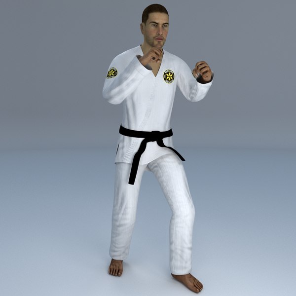 rigged jiu jitsu martial 3D