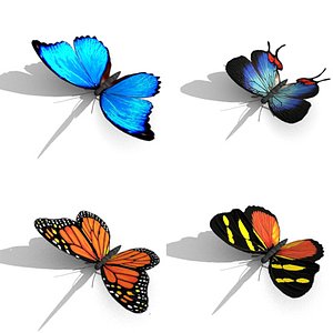 3d obj butterfly item