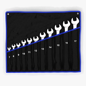 max set wrenches soft case
