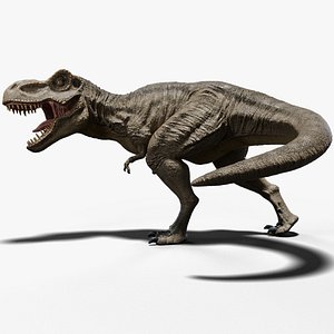 Tyrannosaurus rigged model