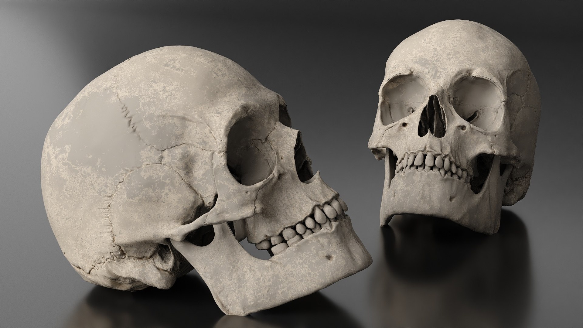 3D Old Scull https://p.turbosquid.com/ts-thumb/35/UqwS0n/Wy/old_scull_005/jpg/1742860285/1920x1080/fit_q87/1ef31ff210458c2a3df500796a445fe6d950c10e/old_scull_005.jpg