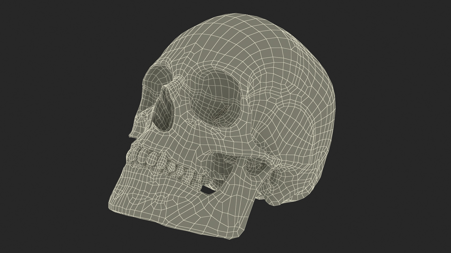 3D Old Scull https://p.turbosquid.com/ts-thumb/35/UqwS0n/au/old_scull_361/jpg/1742860128/1920x1080/turn_fit_q99/bb4e25086654f4867e77d392fa37d72dd6bbbfd7/old_scull_361-1.jpg