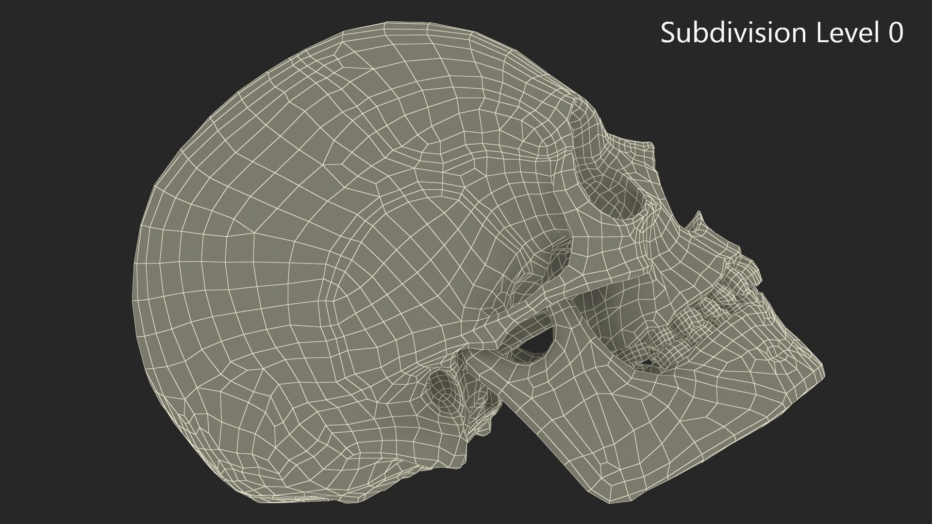 3D Old Scull https://p.turbosquid.com/ts-thumb/35/UqwS0n/dx/old_scull_010/jpg/1742860307/1920x1080/fit_q87/11edc8af288775faafef9dd37537433907fecf01/old_scull_010.jpg
