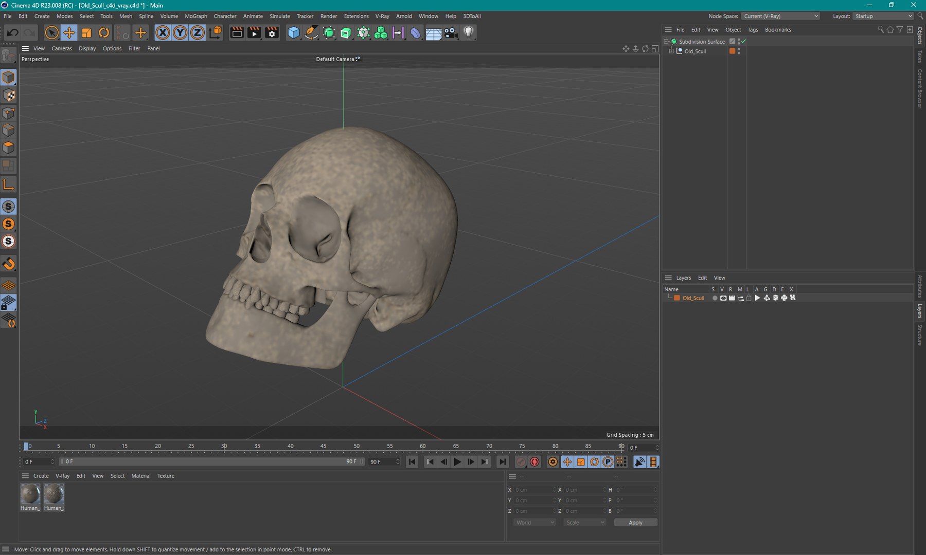 3D Old Scull https://p.turbosquid.com/ts-thumb/35/UqwS0n/iU/old_scull_1001/jpg/1742860334/1920x1080/fit_q87/3ff118584e1526a8c699a82298e247eccf3b5386/old_scull_1001.jpg