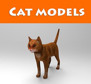 cat model