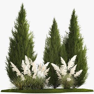 3D Cypress and thuja with pampas grass in the garden 1162