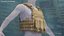 Modular Coyote Carrier Vest Brown