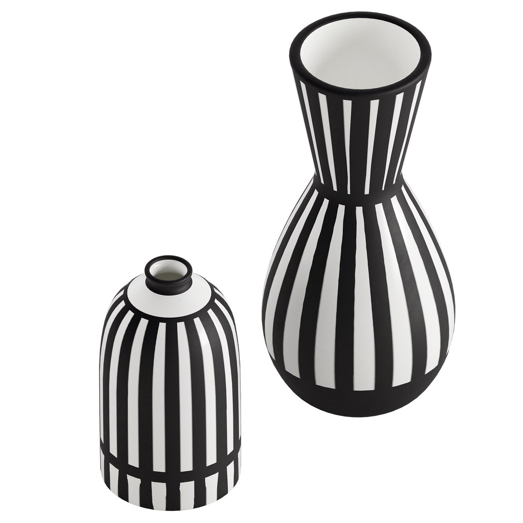 Scandi White  Black Ceramic Vase model https://p.turbosquid.com/ts-thumb/36/24ve0T/D3/a2/jpg/1731936798/1920x1080/fit_q87/17ed9b021c5b1dc626cdb78403d37c4fd91035c9/a2.jpg