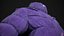 Purple winter jacket