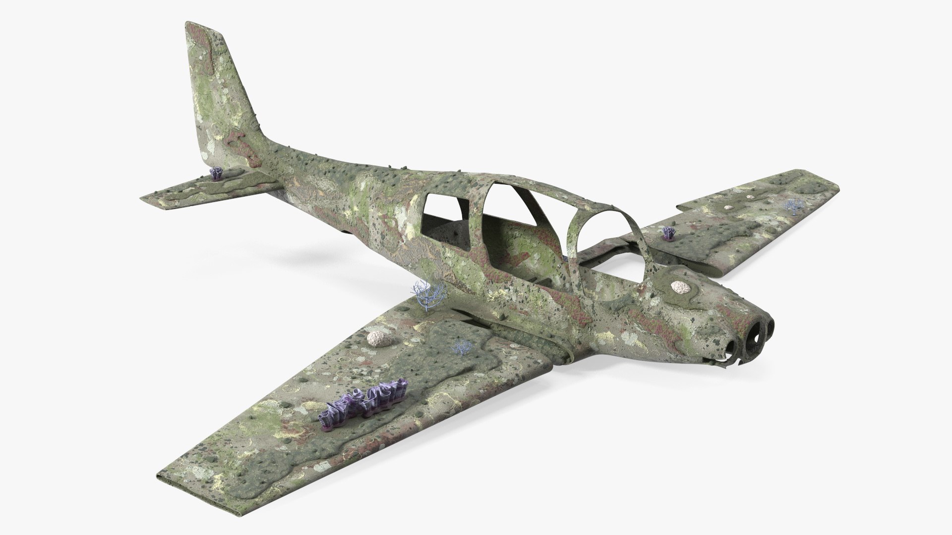 Airplane Wreckage from the Seabed 3D model preview